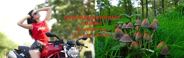 героин Богородицк